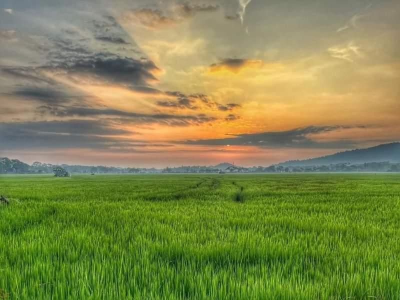 Lake Front Yala Safari Катарагама Экстерьер фото