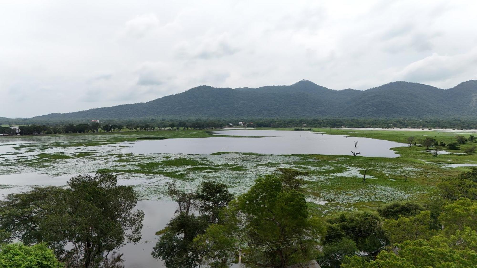 Lake Front Yala Safari Катарагама Экстерьер фото