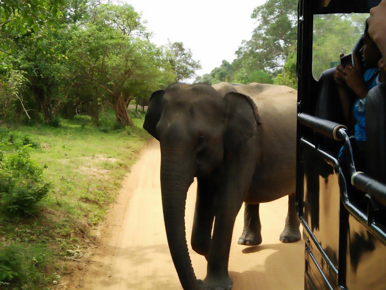Lake Front Yala Safari Катарагама Экстерьер фото